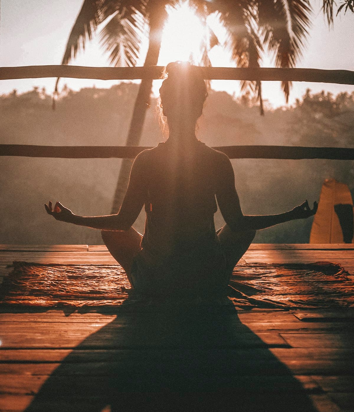 Gut health and autoimmune disease connection — integrative medicine approach